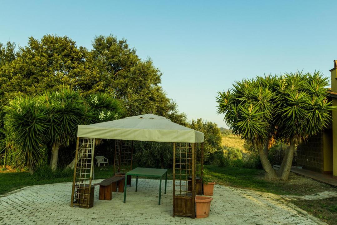 Photo of Others in Cerveteri