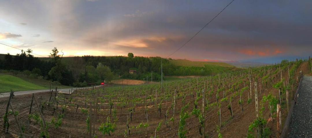 Photo of Others in Strevi