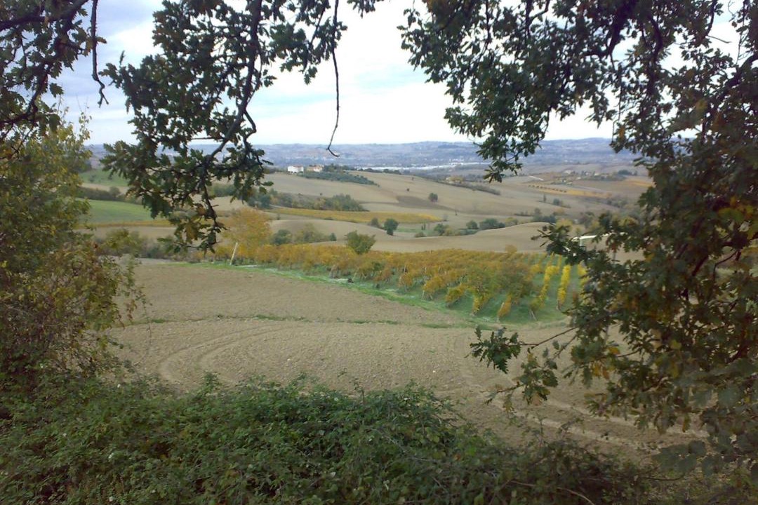 Photo of Others in Staffolo