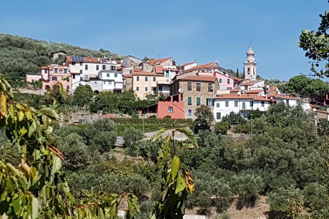 Photo of Others in Olivastri