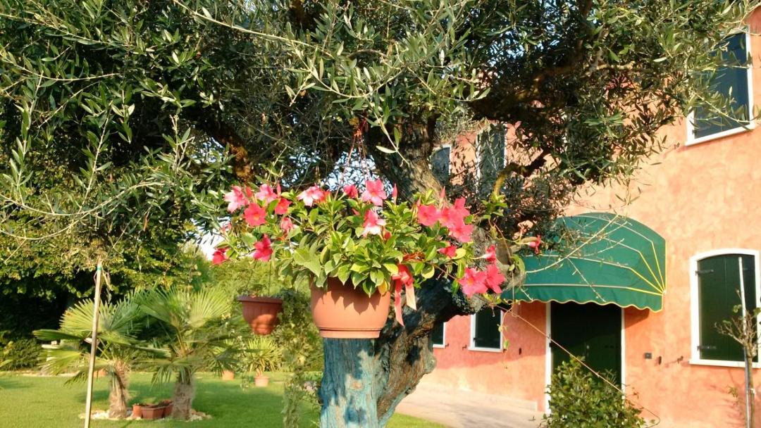 Photo of Others in Giarre