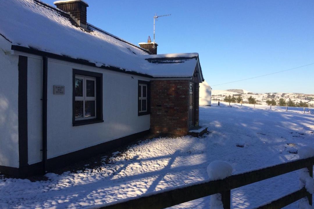 Photo of Buildings in Cookstown