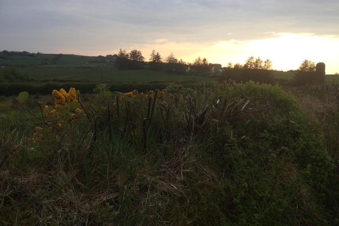 Photo of Outdoor in Cookstown