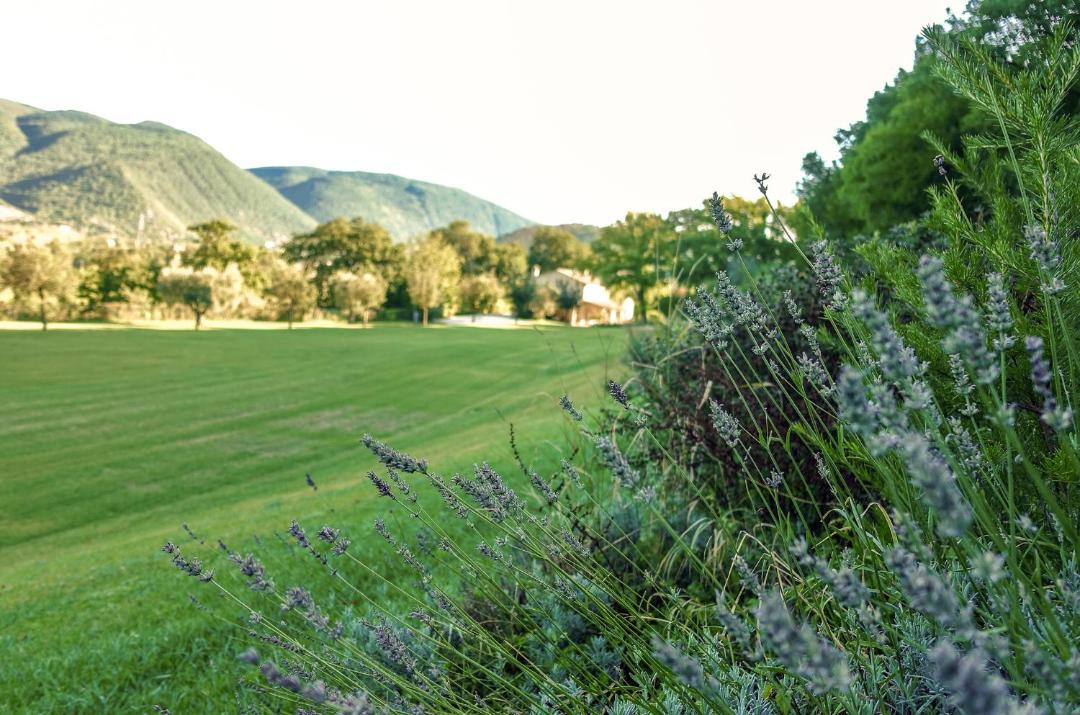 Photo of Outdoor in Calmazzo