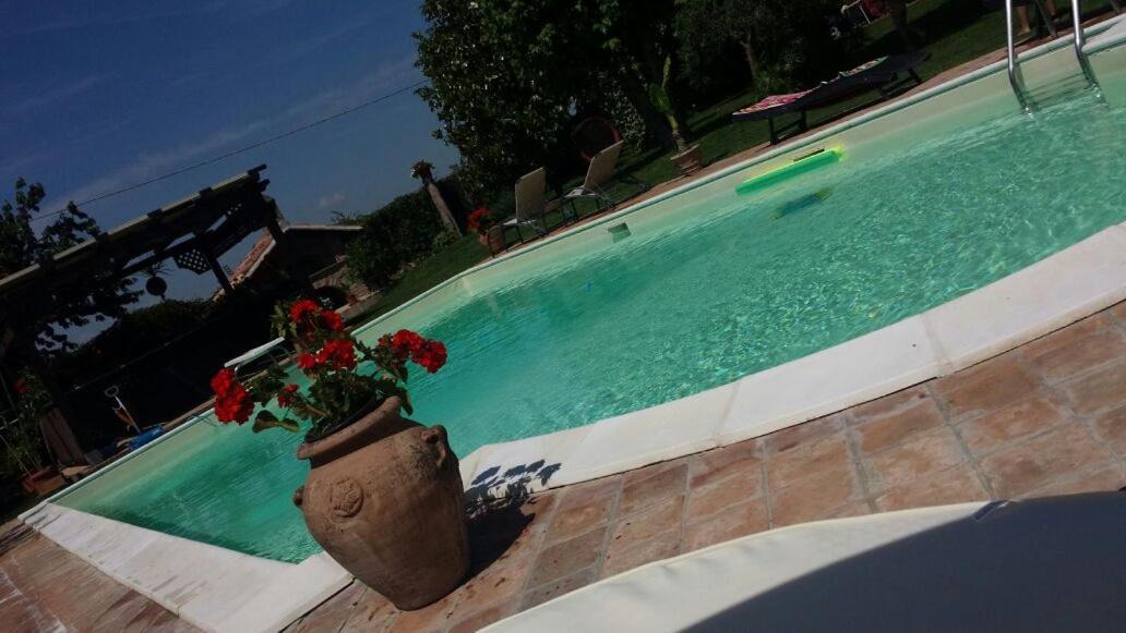 Photo of Others in Torgiano