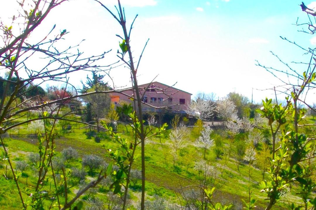 Photo of Others in Bettolelle