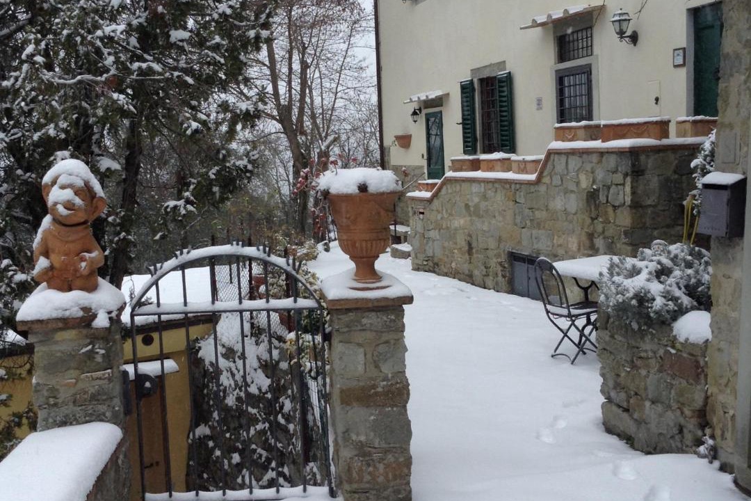Photo of Others in Fiesole
