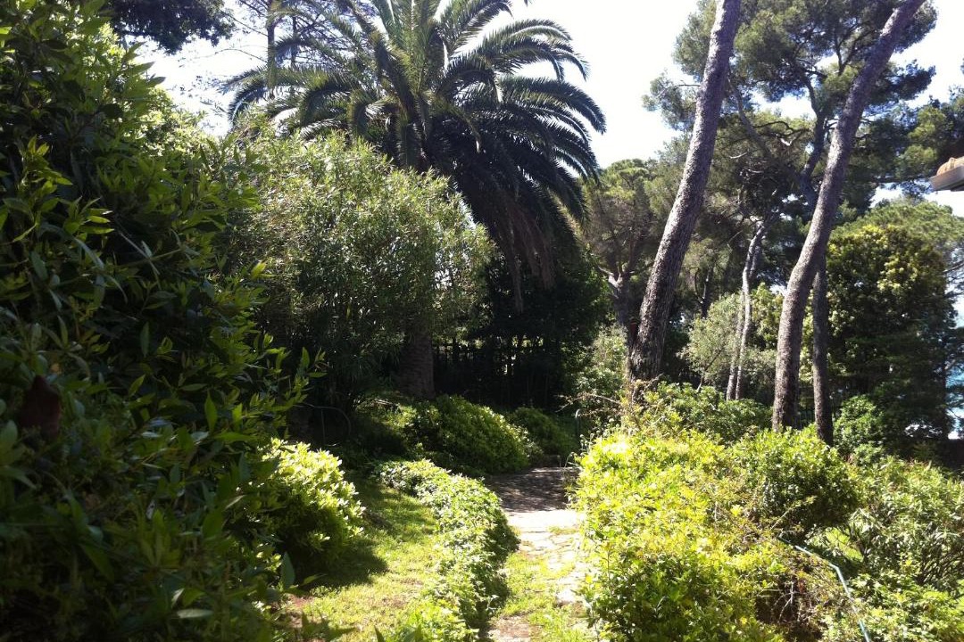 Photo of Outdoor in Tellaro