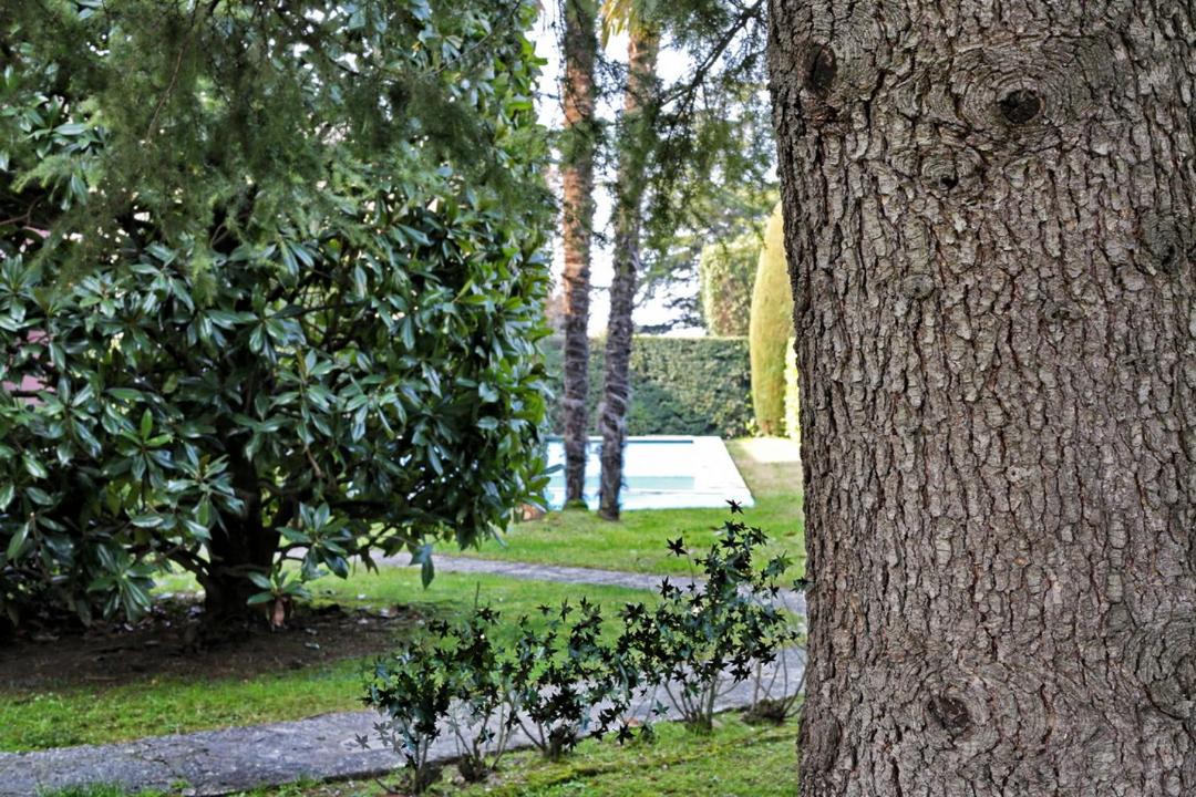 Photo of Others in Bardolino