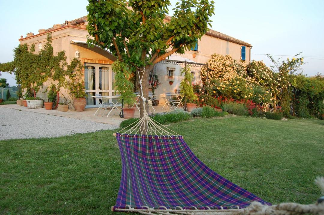 Photo of Others in Monterubbiano
