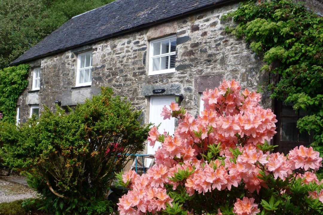 Photo of Others in Tarbert