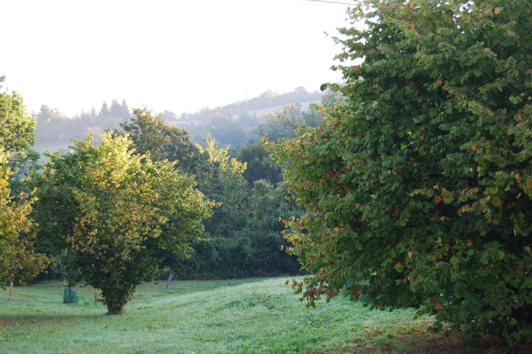 Photo of Outdoor in Albareto