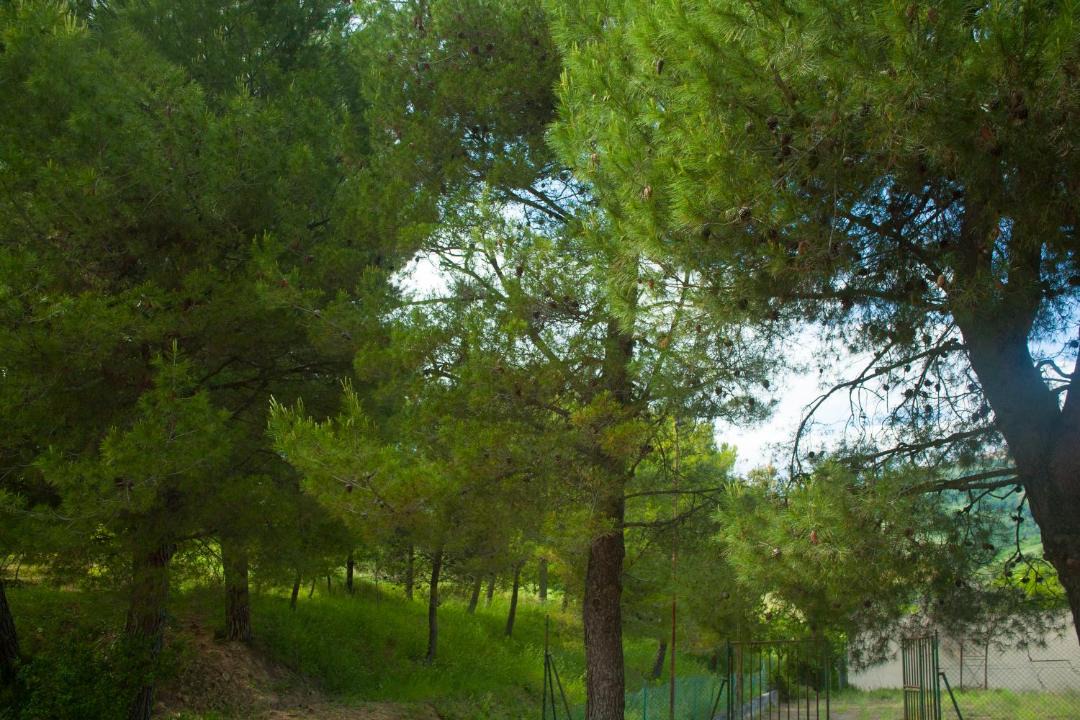 Photo of Outdoor in Monterubbiano
