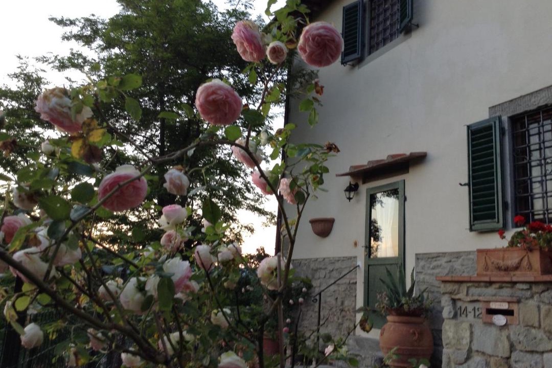 Photo of Buildings in Fiesole