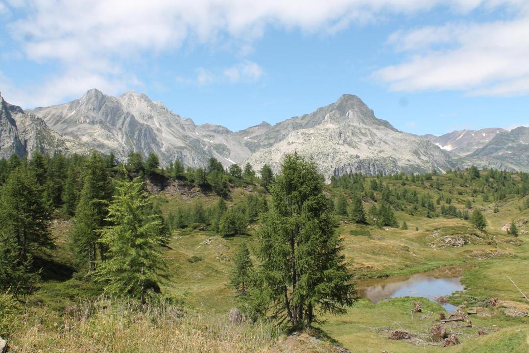 Photo of Others in Croveo