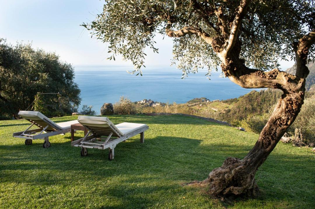 Photo of Others in Monterosso al Mare