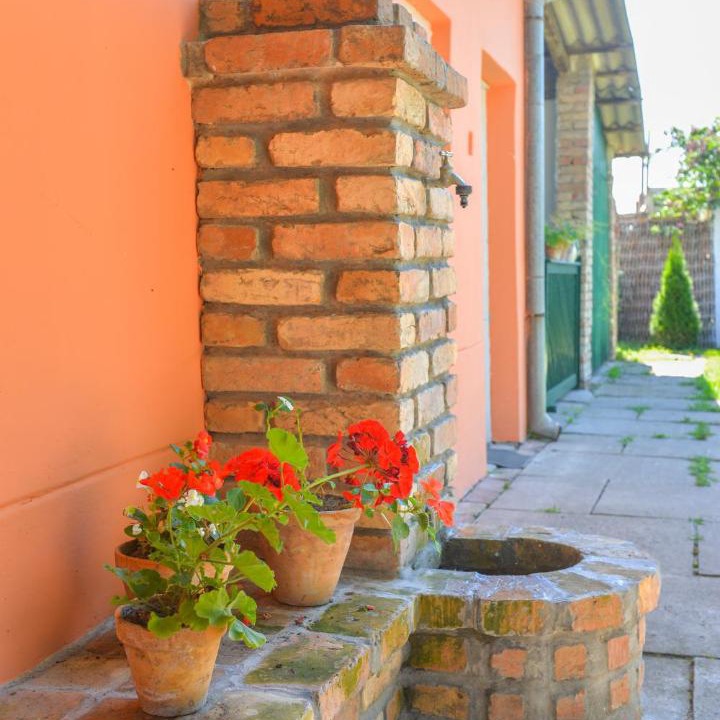 Photo of Others in Kovacica