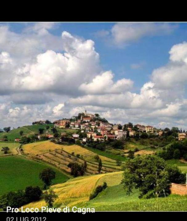Photo of Others in Urbino