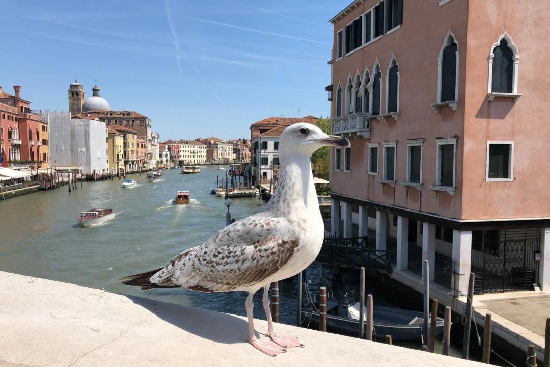 Photo of Others in Santa Croce