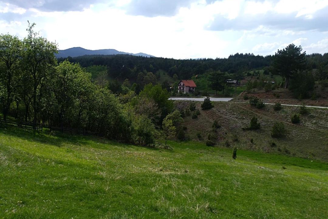 Photo of Outdoor in Zlatibor