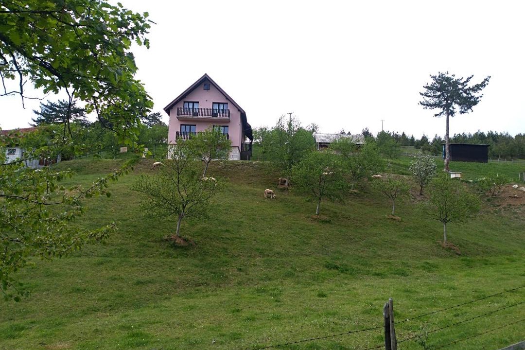 Photo of Buildings in Zlatibor