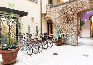 Agave in città
