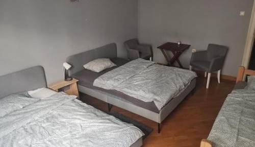 Single Bed in 4-Bed Dormitory Room