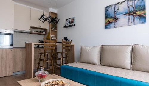 Studio Apartment