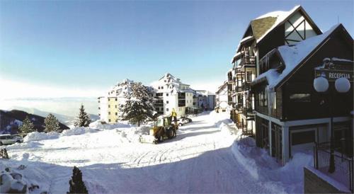 Apartment with Mountain View
